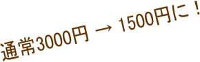 ʏ3000~  1500~ɁI